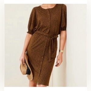 Garnet Hill Smocked Cheetah Print Elbow Sleeve Belted Relaxed Fit Dress Sz M